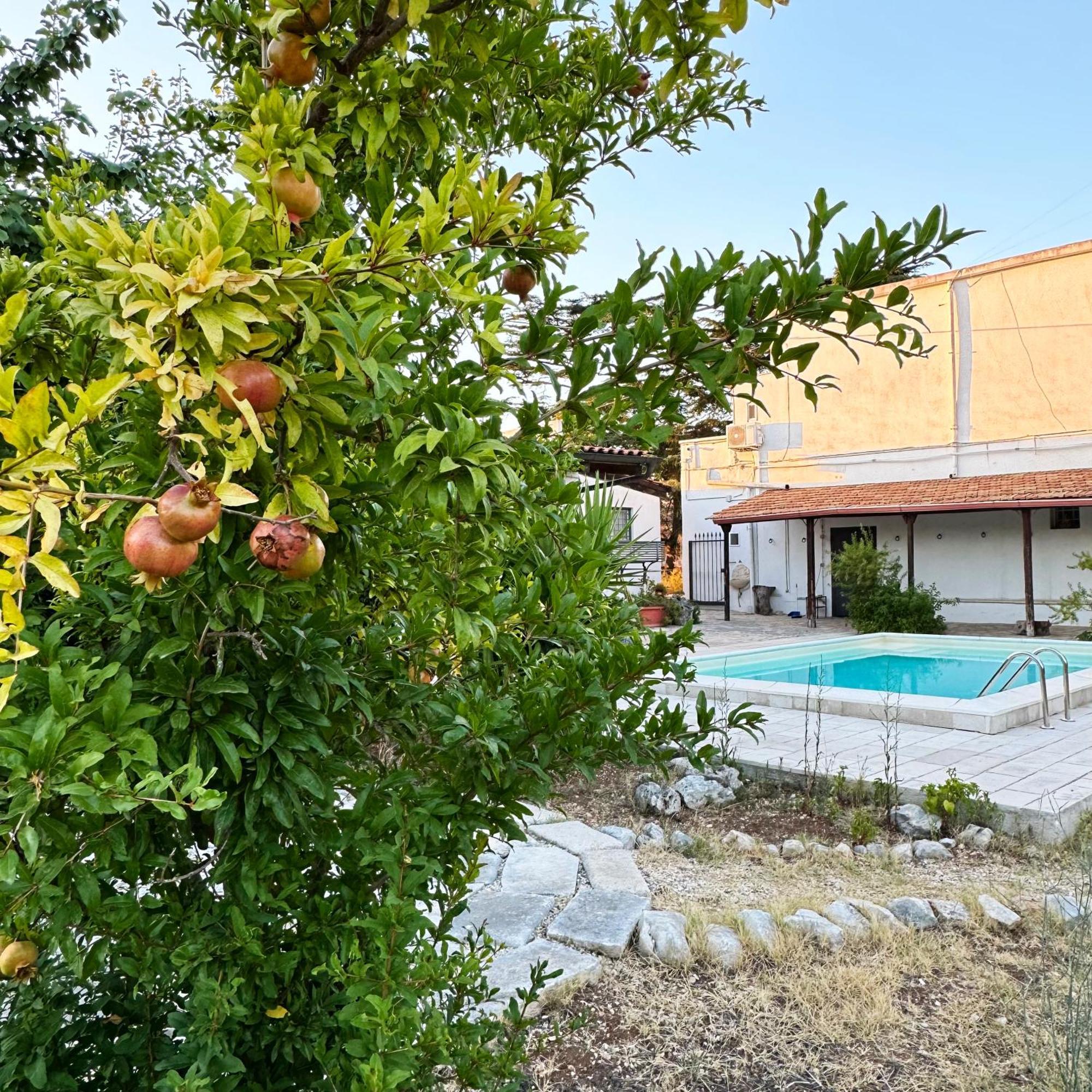 Ferienwohnung Il Sentiero Bari Exterior foto
